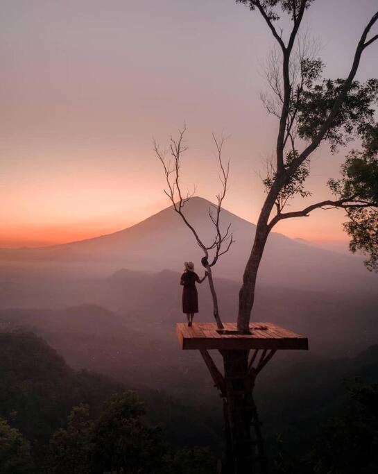 Magic Hills Bali - Magical Eco-Luxury Lodge Selat Exteriör bild